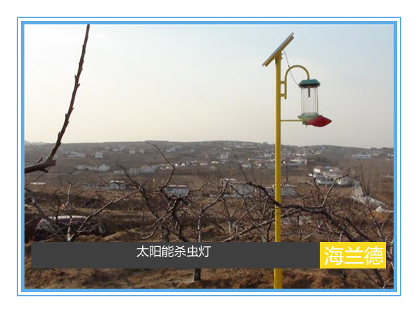 太陽(yáng)能殺蟲燈工程